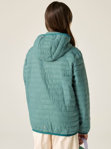 Regatta Steppjacke "Hillpack" in Türkis
