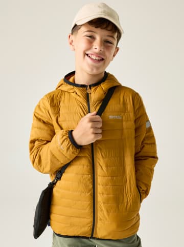 Regatta Steppjacke "Hillpack" in Gelb