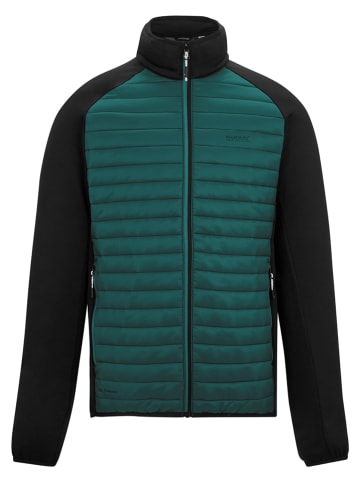 Regatta Hybride jas "Clumber" turquoise