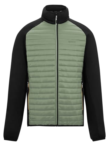 Regatta Hybridjacke "Clumber" in Grün