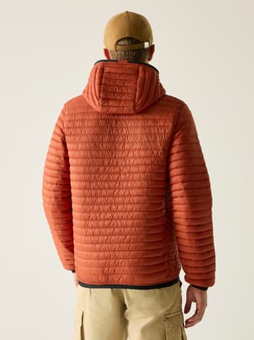 Regatta Steppjacke "Rigain" in Rot