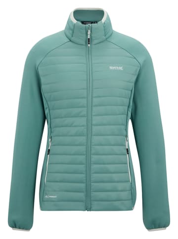 Regatta Hybride jas "Clumber" turquoise