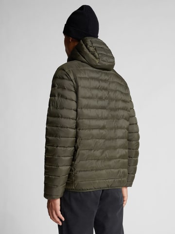 North Sails Steppjacke in Khaki