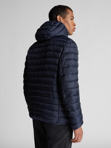 North Sails Steppjacke in Dunkelblau