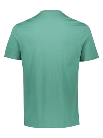 Calvin Klein Koszulka w kolorze zielonym