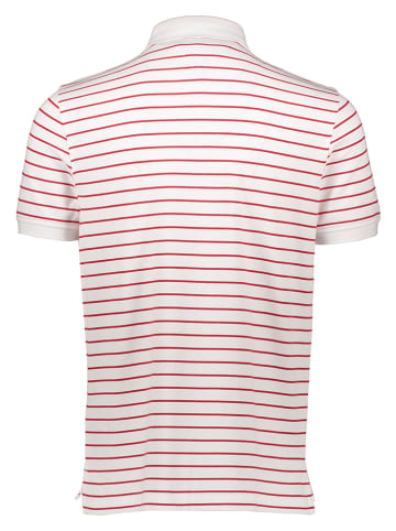 Tommy Hilfiger Poloshirt wit/rood