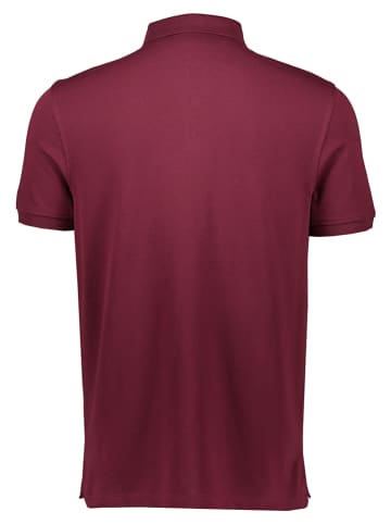 Tommy Hilfiger Poloshirt bordeaux