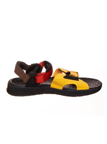 Nike Wandelsandalen "ACG Air Deschutz+" meerkleurig