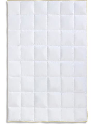 Frau Holle 4-Jahreszeiten-Daunen-Kassettenstegdecke "Goldstarente" in Weiß