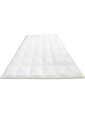 Frau Holle 4-Jahreszeiten-Daunen-Kassettenstegdecke "Goldstarente" in Weiß