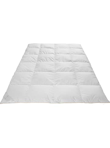 Frau Holle Winter-Daunen-Kassettenstegdecke "Goldstarente" in Weiß