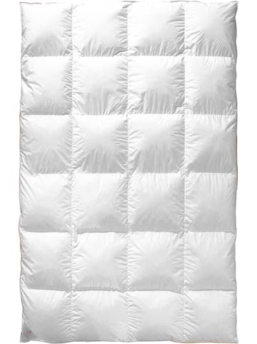 Frau Holle Winter-Daunen-Kassettenstegdecke "Goldgans" in Weiß