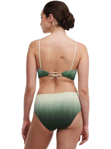 Chantelle Bikinislip groen