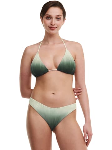 Chantelle Bikinislip groen
