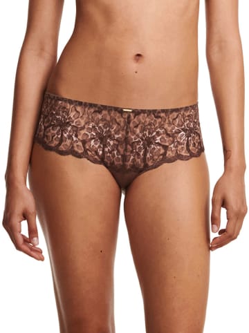 Chantelle Panty in Braun