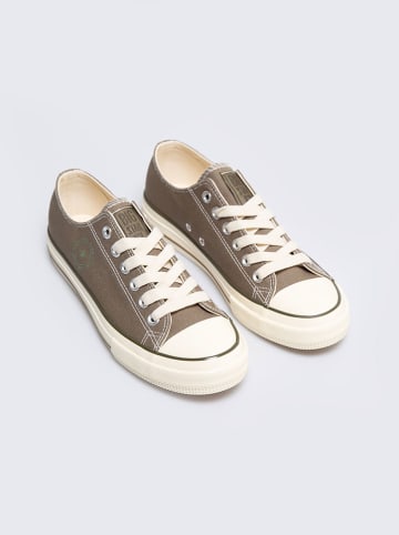 BIG STAR Sneakers in Khaki