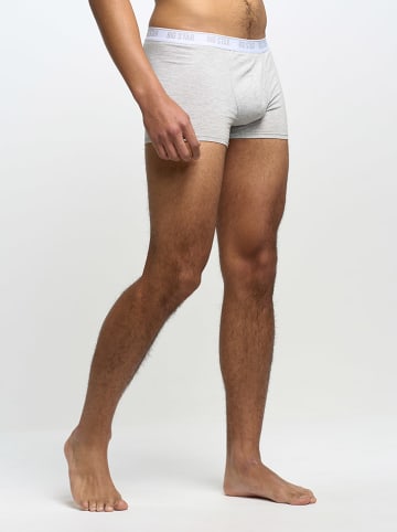 BIG STAR Boxershorts in Grau