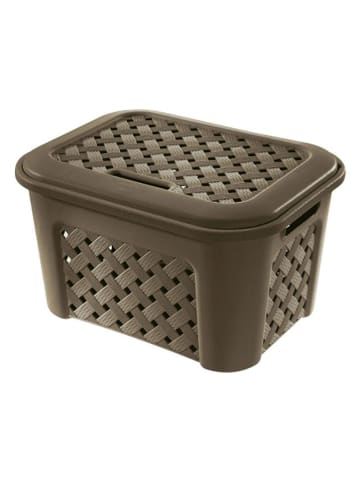 Joybos Aufbewahrungsbox in Braun - (B)43,5 x (H)33,5 x (T)26 cm