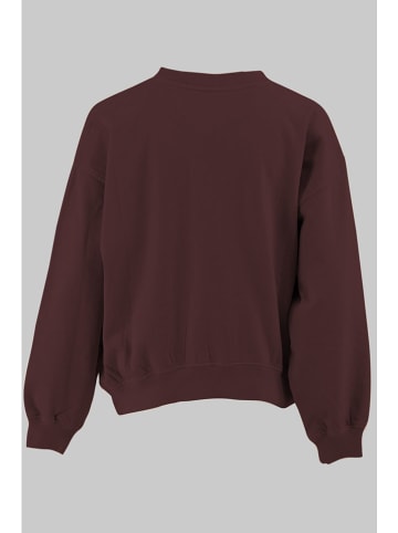 G-Star Sweatshirt bruin