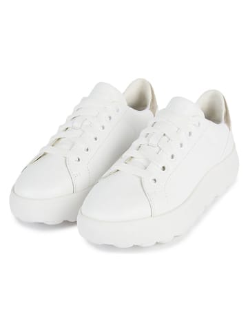 Geox Leren sneakers "Spherica EC4.1" wit/goudkleurig