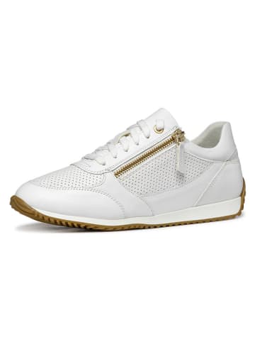 Geox Sneakers "Calithe" in Weiß