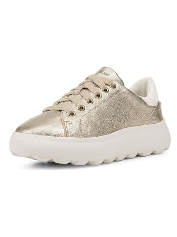 Geox Leder-Sneakers "Spherica EC4.1" in Gold
