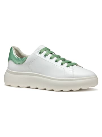 Geox Leren sneakers "Spherica EC4" wit/groen