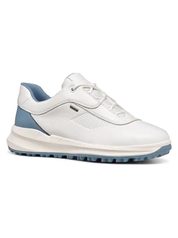 Geox Leder-Sneakers "PG1X" in Weiß/ Blau