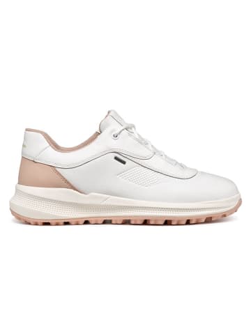 Geox Leder-Sneakers "PG1X" in Creme/ Beige