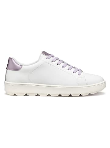 Geox Leren sneakers "Spherica Ecub" wit/paars