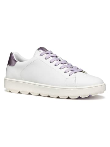 Geox Leren sneakers "Spherica Ecub" wit/paars