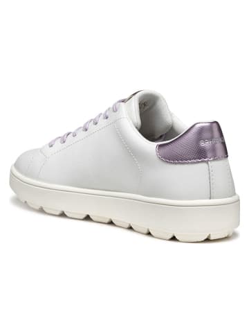 Geox Leren sneakers "Spherica Ecub" wit/paars