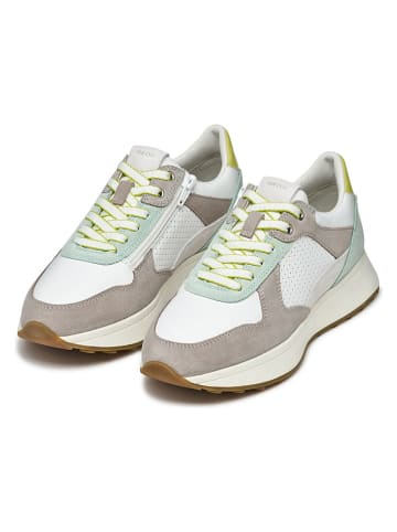 Geox Leder-Sneakers "Amabel" in Weiß/ Grün