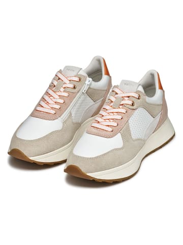 Geox Leder-Sneakers "Amabel" in Weiß/ Beige