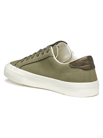 Geox Sneakers "Emmeleny" kaki