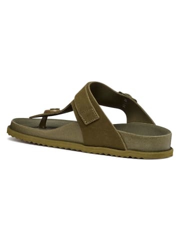 Geox Skórzane japonki "Sandybett" w kolorze khaki