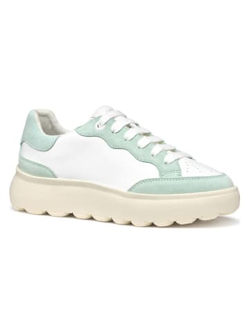 Geox Sneakers "Spherica EC4" wit/groen
