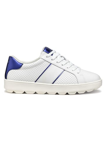 Geox Leder-Sneakers "Spherca Ecub" in Weiß/ Lila