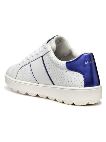 Geox Leren sneakers "Spherca Ecub" wit/paars