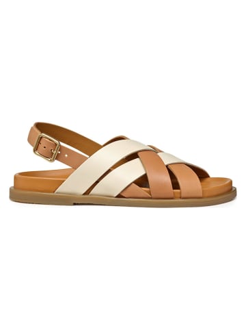 Geox Leder-Sandalen "Adelash" in Hellbraun/ Creme