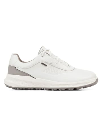 Geox Sneakersy "PG1X" w kolorze białym