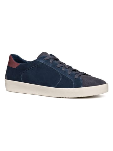 Geox Sneakers "Warley" in Dunkelblau