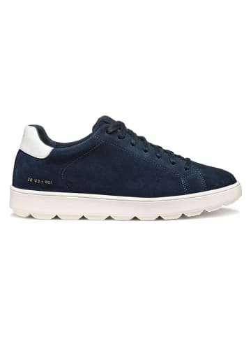 Geox Leder-Sneakers "Spherica Ecub" in Dunkelblau
