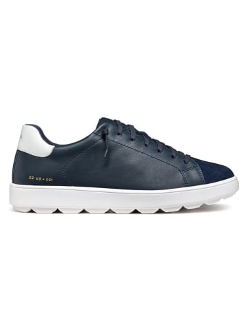 Geox Leder-Sneakers "Spherica Ecub" in Dunkelblau