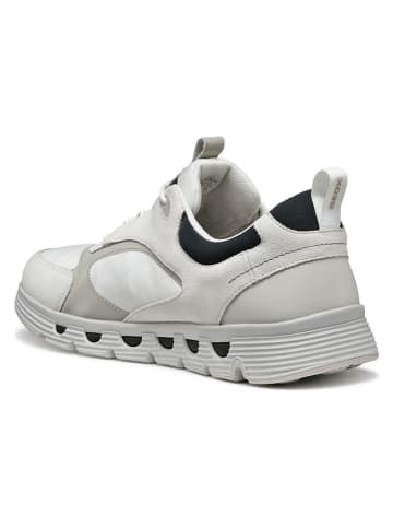 Geox Sneakers "Spherica Ecub" crème