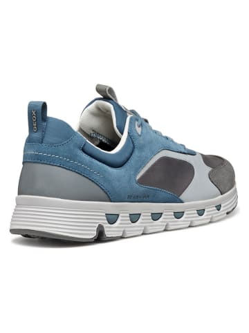 Geox Sneakers "Spherica Ecub" in Hellblau/ Grau