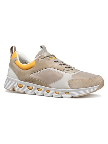 Geox Sneakers "Spherica Ecub" beige/geel