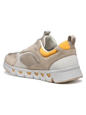 Geox Sneakers "Spherica Ecub" beige/geel