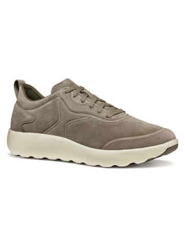 Geox Leder-Sneakers "Xtors" in Braun