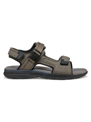 Geox Sandalen "Spherica EC5" in Braun